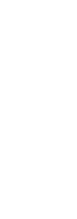 Emblem The South