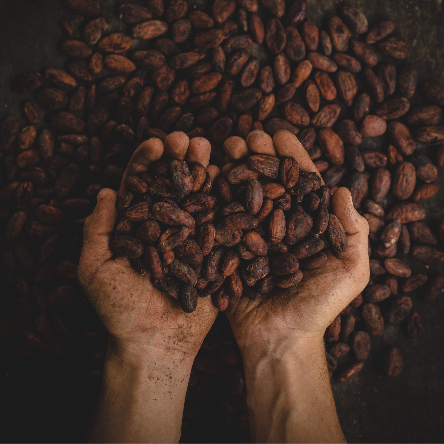 Gin & Schokolade by JUNIPER JACK