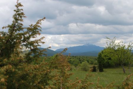 Wacholderlandschaft im kroatischen Landesinneren
